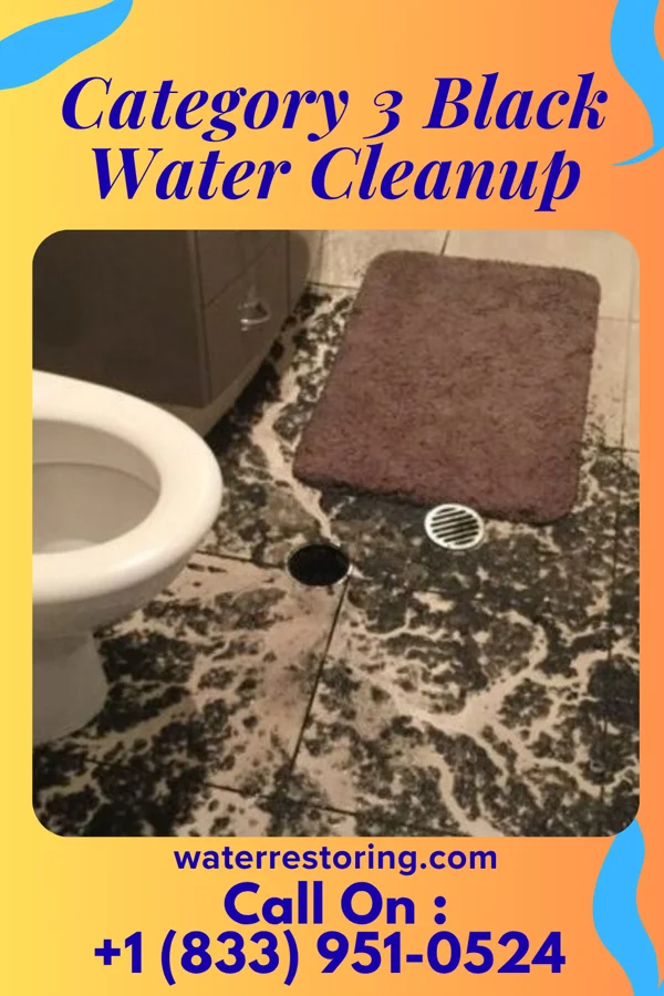 Category 3 Black Water Cleanup in Butler, AL